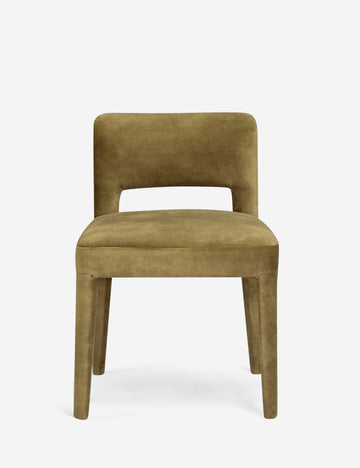 #color::olive-velvet