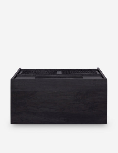 #color::black-and-black
