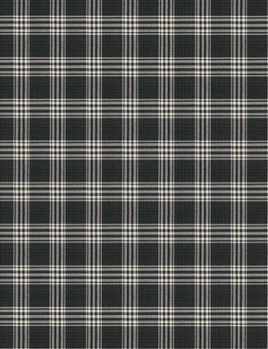 The prep-school plaid fabric