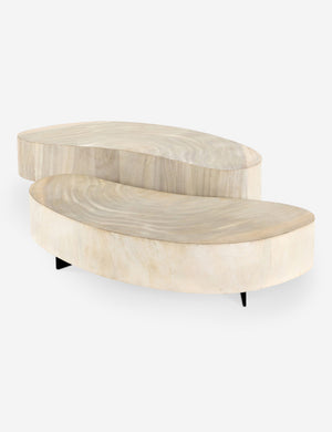 Finley Coffee Table Set