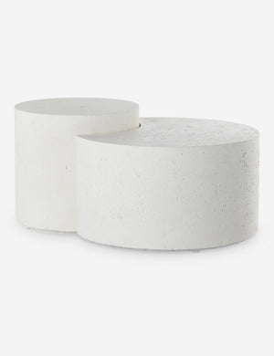 Barton Nesting Coffee Table (Set of 2)