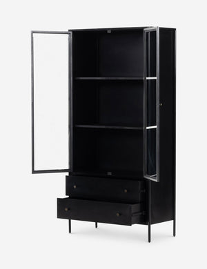 Mathus Curio Cabinet