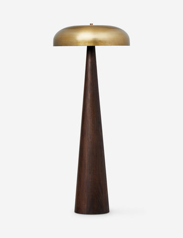 #color::dark-brown
