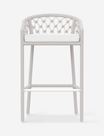 #color::white