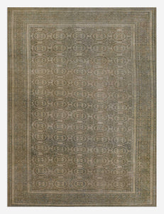Open Box: Warren Rug, 10' x 14' by Erin Gates