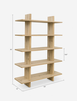 Khaza Tall Bookcase : Dark Brown