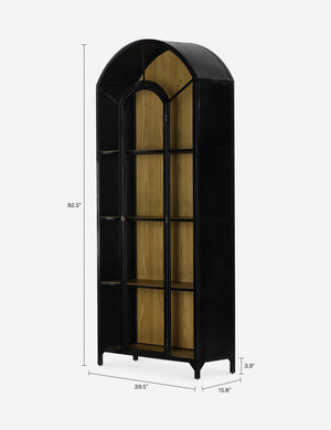 Cressida Curio Cabinet : Black and Black