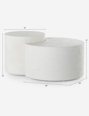 Barton Nesting Coffee Table (Set of 2)