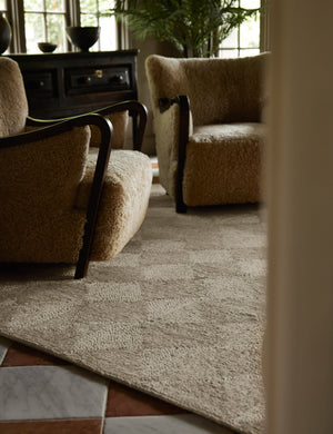 Havenhurst Rug Swatch by Jake Arnold, Ivory