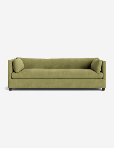 #color::citron-vintage-velvet #size::96-W