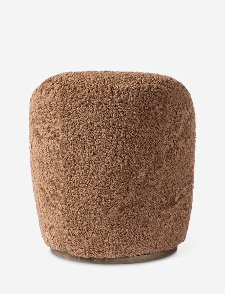 #color::amber-shearling