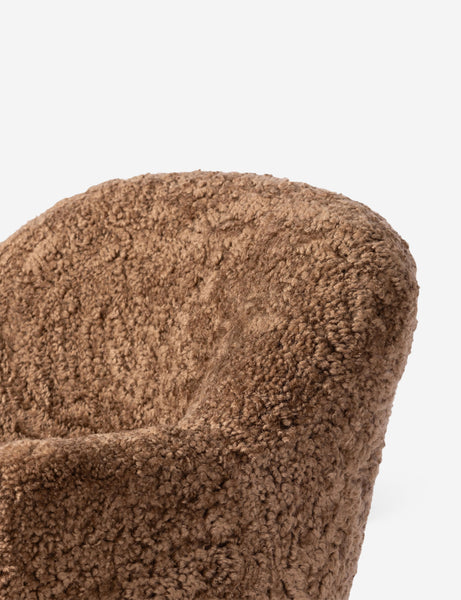 #color::amber-shearling