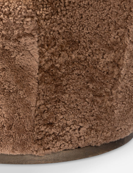 #color::amber-shearling