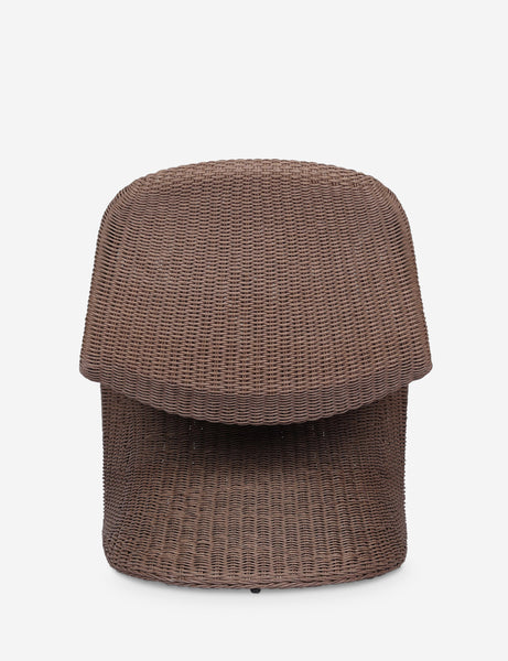 #color::brown