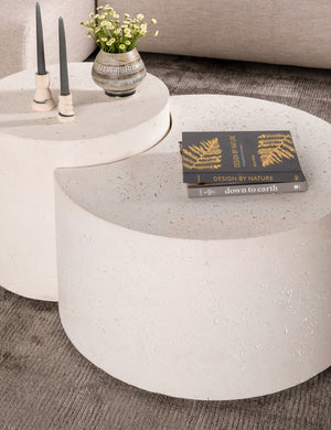 Barton Nesting Coffee Table (Set of 2)