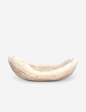 Noki Petrified Wood Bowl