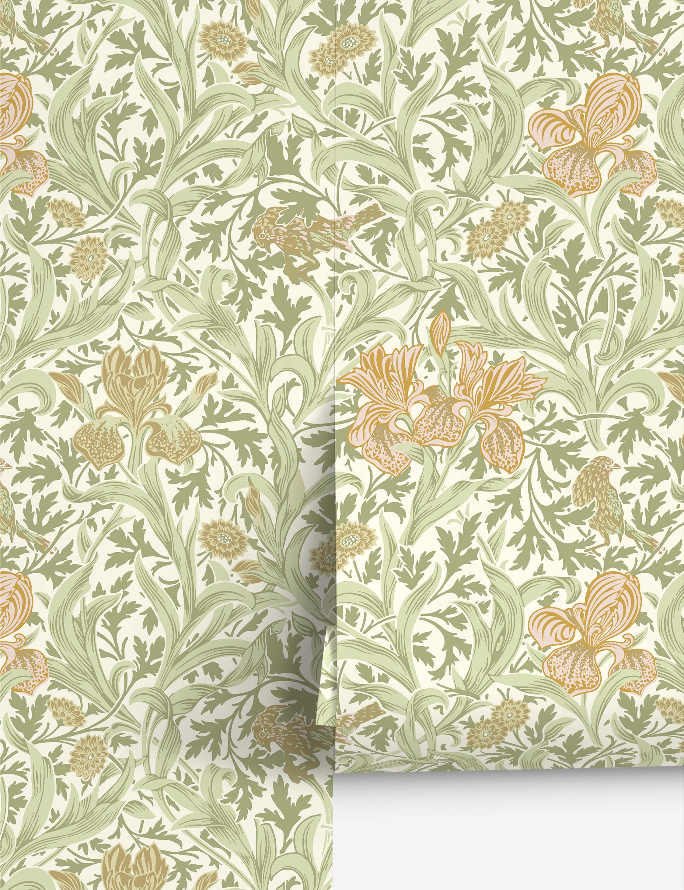 #color::light-green