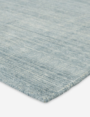 Bluma Handwoven Indoor / Outdoor Rug