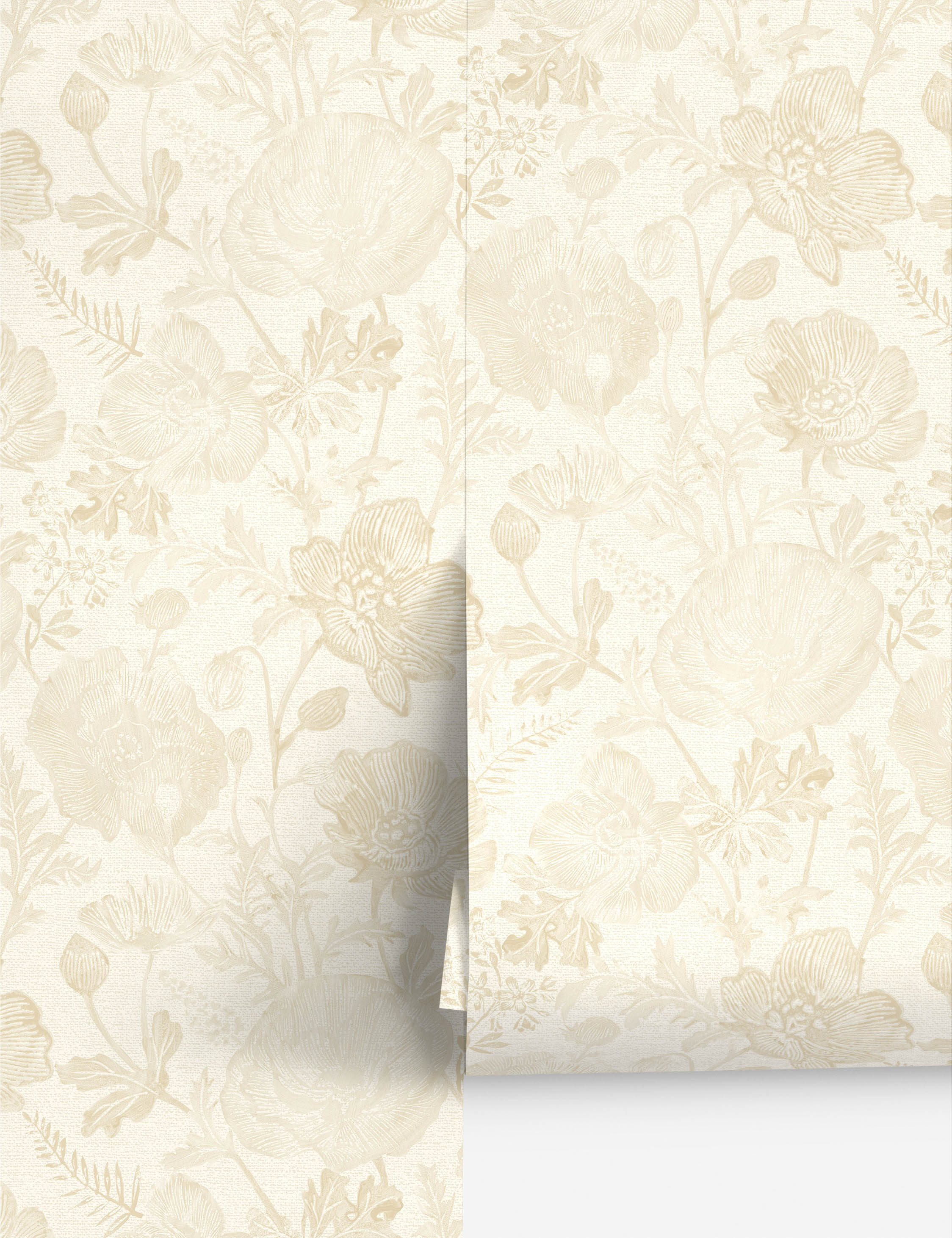 #color::ivory