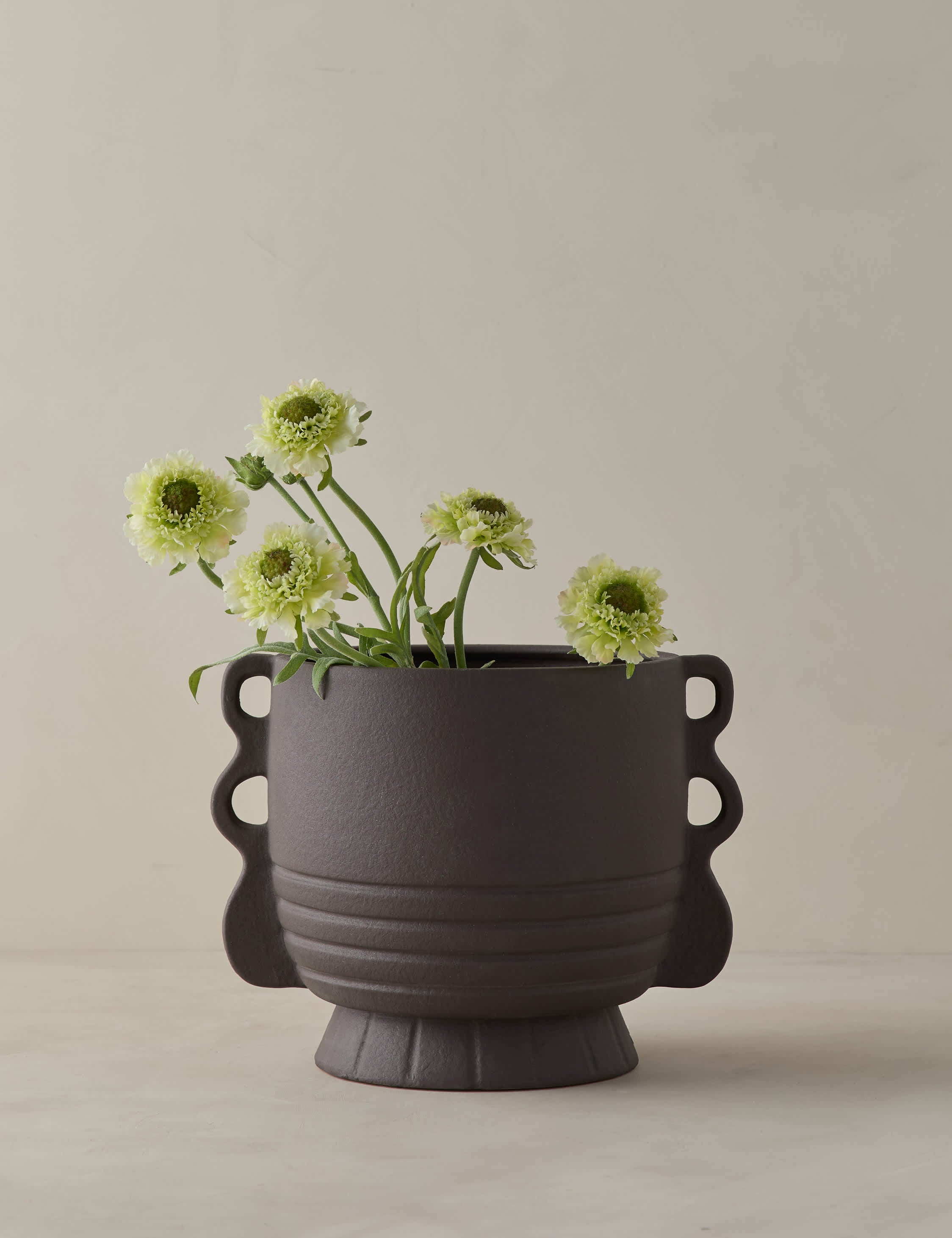 Willet Centerpiece Bowl by Élan Byrd