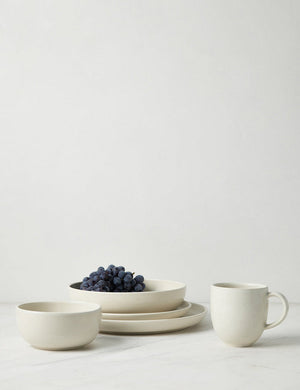Pacifica Vanilla-toned Dinnerware 5-Piece Place Setting by Casafina