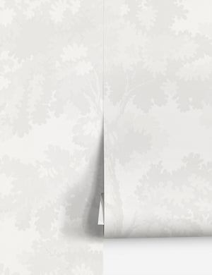 Scalamandre botanical inspired white raphael wallpaper