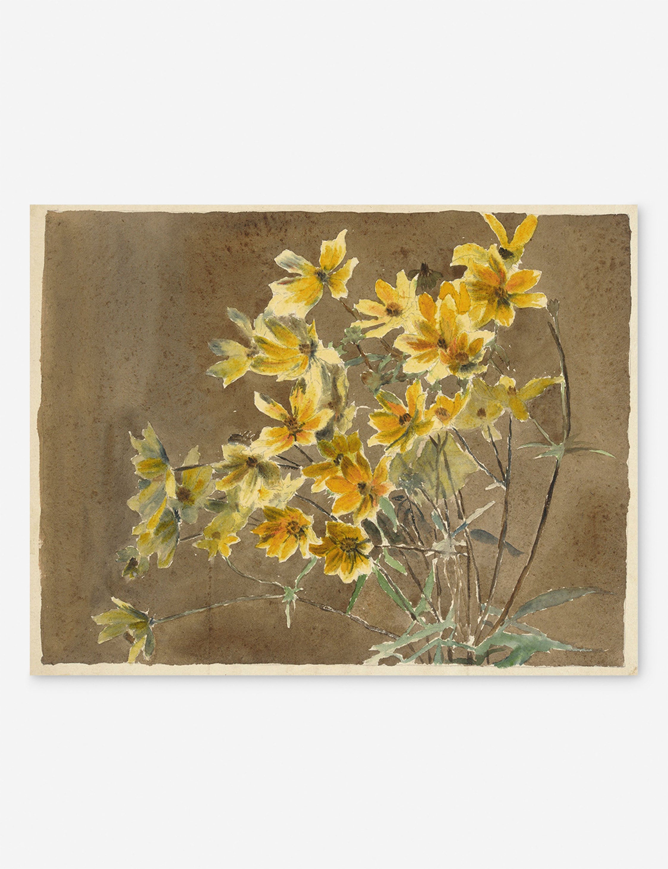 #frame-option::unframed #size::155--x-20- #size::10--x-13-