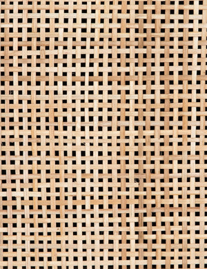 Detailed view of the woven cane doors on the Hannah black mango wood media console.