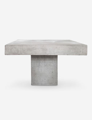Arely Indoor / Outdoor Coffee Table