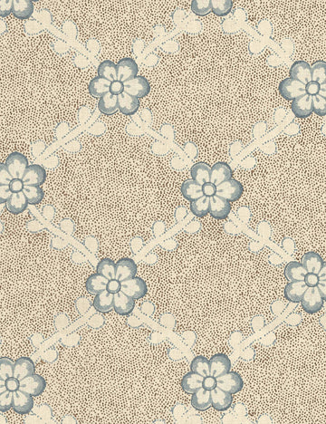 #color::brown-and-blue