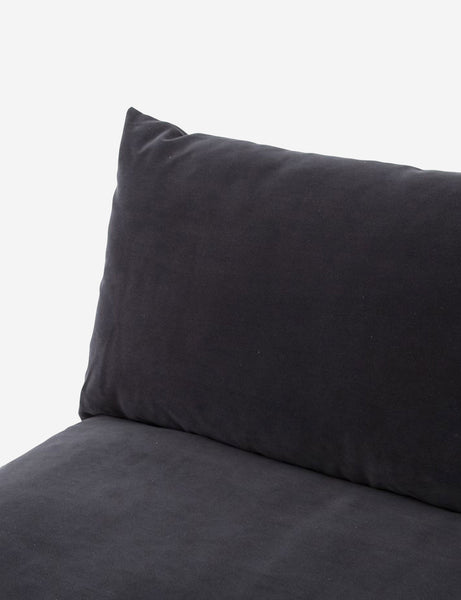 #color::charcoal-gray