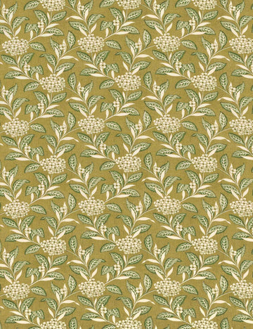  #color::sage-and-olive