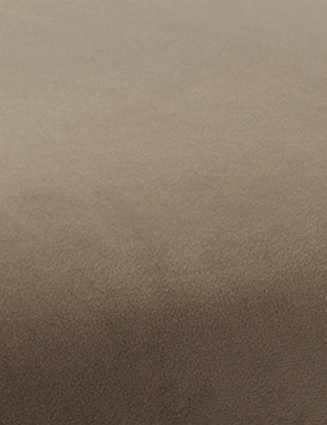 #color::taupe