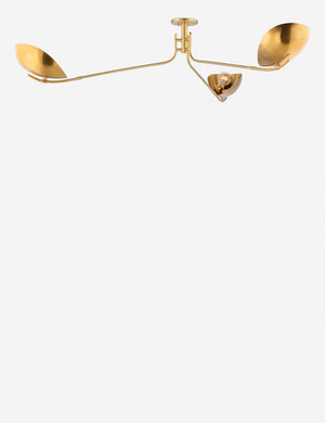 Abanu mid-century adjustable brass chandelier.