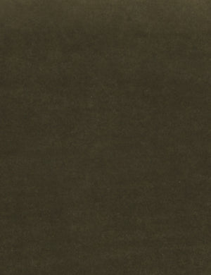 Balsam Classic Velvet Fabric Swatch