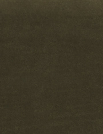 Balsam Classic Velvet Fabric Swatch