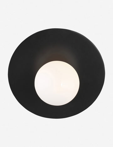 #color::black