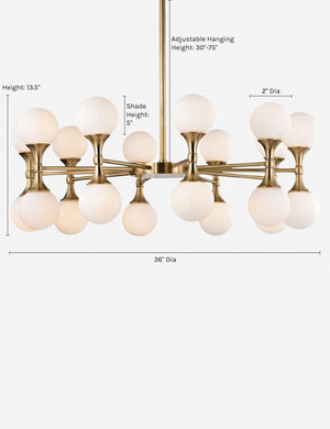Dimensions on the Abernathy gold wheel-like chandelier with dual-light fixtures