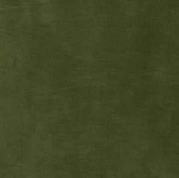Cotton Velvet Swatch, Jade