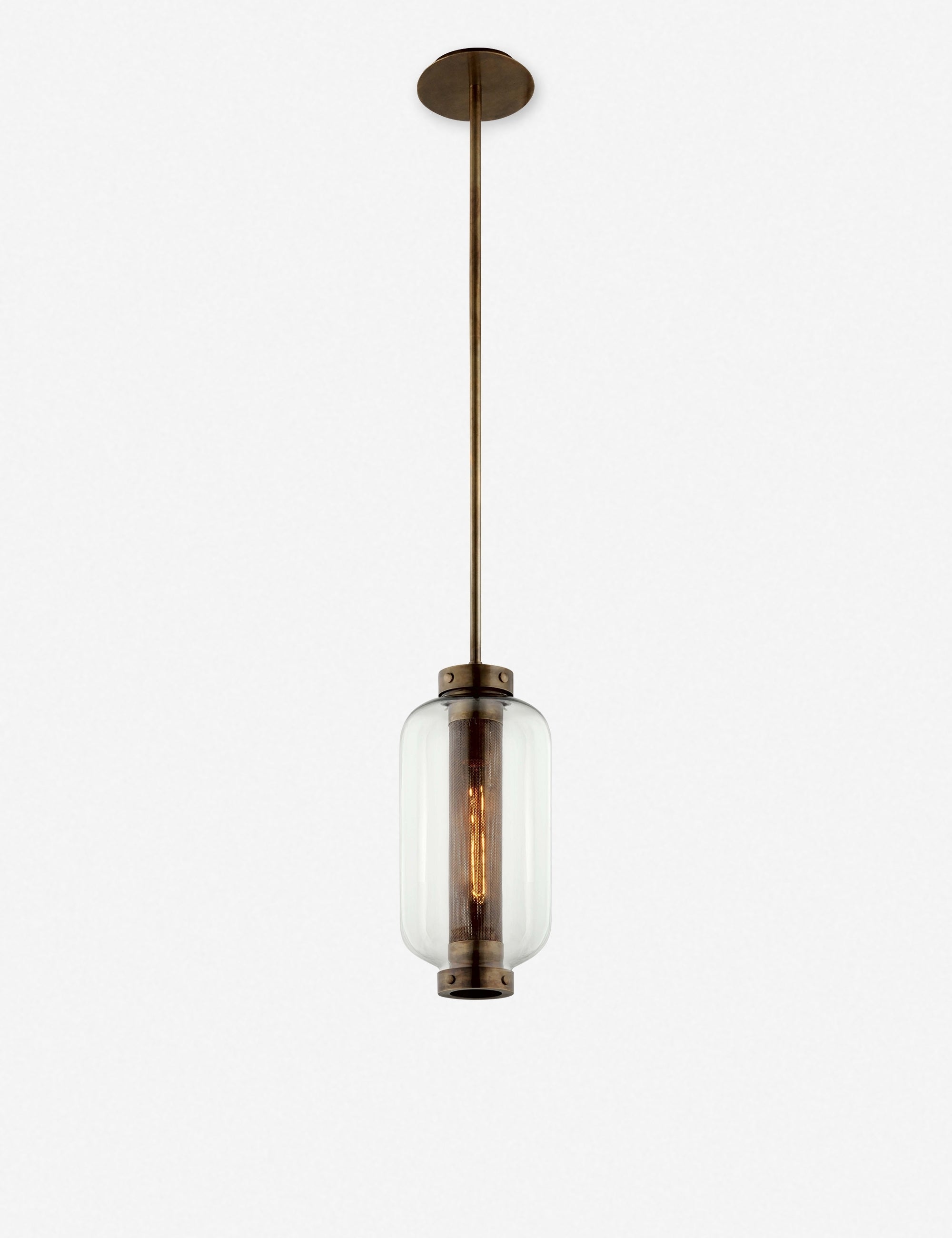 Romelia Outdoor Pendant Light