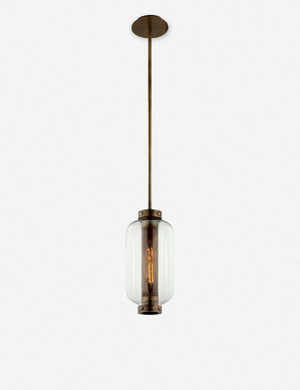 Romelia Outdoor Pendant Light